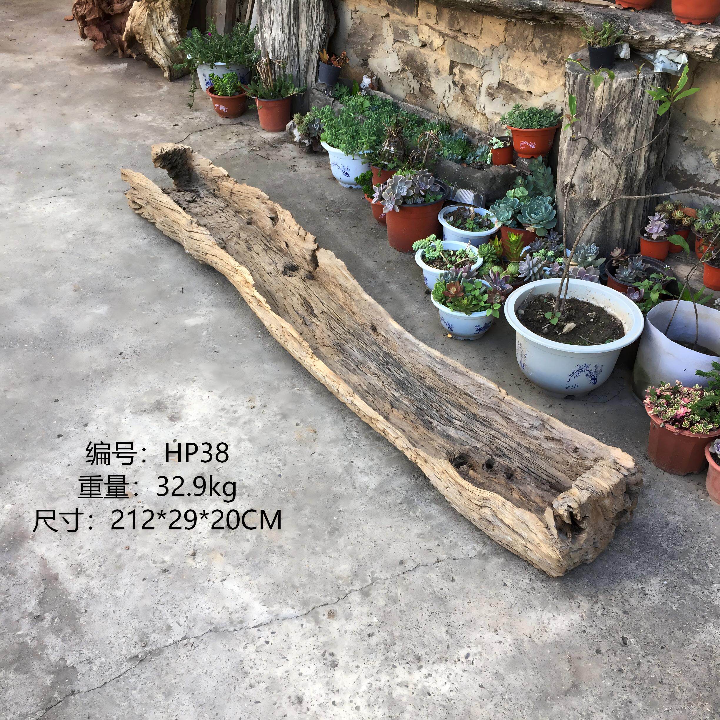 青墨侘寂风枯木风化木树根盆景盆