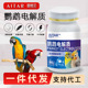爱特尔鹦鹉鸟用电解质多维益生菌营养补充维生素葡萄糖常备药