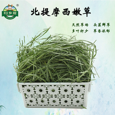 25归乡提特级烘干嫩草宠物兔全龄