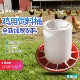 鸡用饲料桶喂鸡食槽饮水器鸡鸭鹅自动下料喂食喂水器食槽水槽