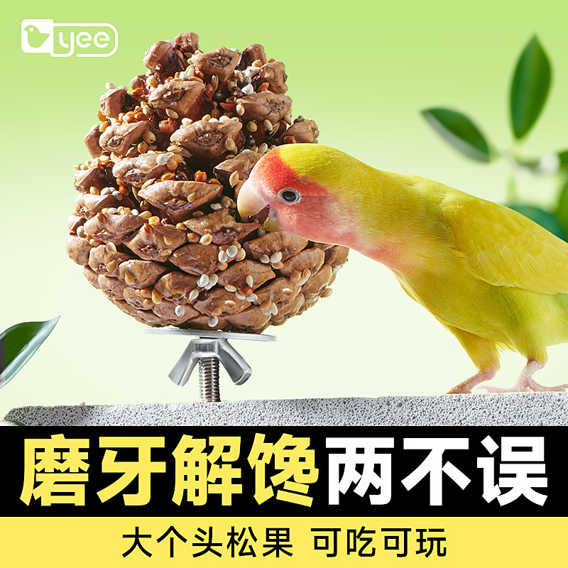 yee鸚鵡零食松果磨喙玩具松子球