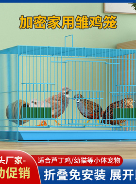 芦丁鸡专用养殖笼子家用加密大号芦丁鸡铁丝笼小鸡小鸭子鹌鹑鸟笼