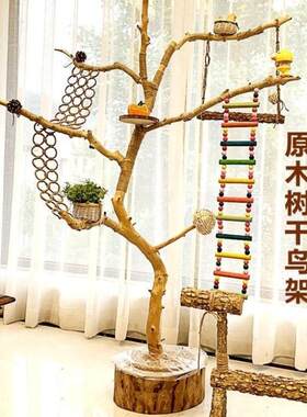 干树枝装饰树枝鸟架干枝