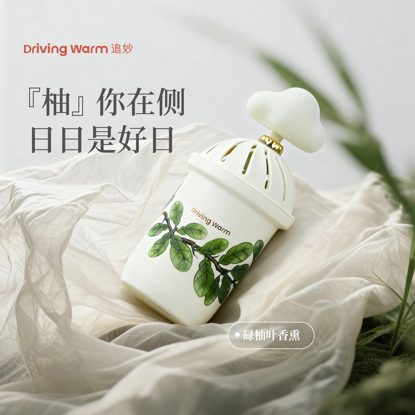 追秒碌柚叶香氛捏一捏净化磁场