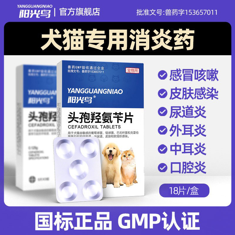狗狗猫咪消炎药皮肤炎脓皮感冒咳嗽尿道炎耳炎头孢羟氨苄片宠物用,宠物/宠物食品及用品,猫消化道疾病药品,淘宝优惠券,粉丝福利购,淘宝优惠卷