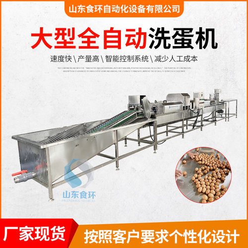厂家供应 自动洗蛋机 六排洗蛋机设备  多拍咸鸭蛋清洗机