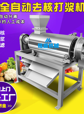 铭盛供应新款红啤梨榨汁机 沂水苹果打浆机 翼城苹果去核打浆设备