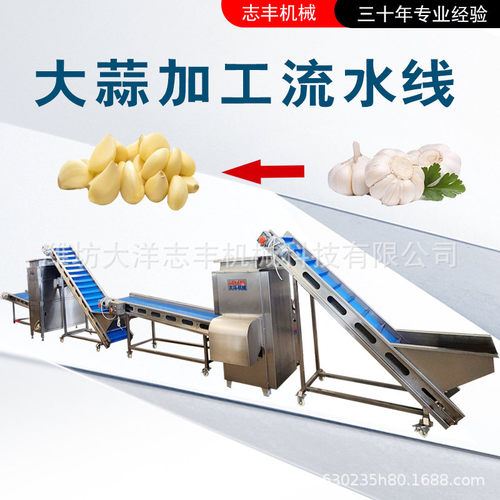 大蒜加工生产线不锈钢蒜米生产线现货供应蒜米流水线不锈钢剥蒜机