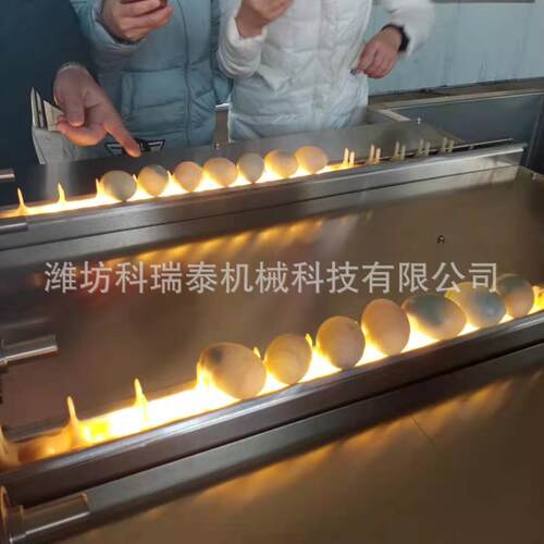 小型鸭蛋洗蛋机 自动上蛋鸡蛋鸭蛋清洗设备 供应卤蛋生产线价格