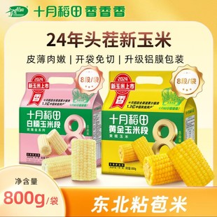 十月稻田黄糯/白糯玉米段香甜糯东北黏苞米袋装8段24年头茬新玉米