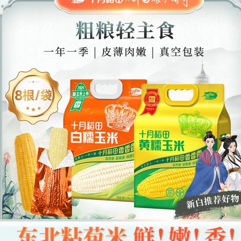 十月稻田黄糯玉米棒白糯米香甜糯东北黏苞米好吃可拉丝铝膜真空装