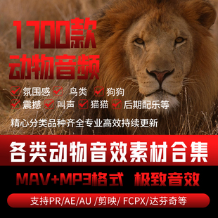 yw猫狗音效叫声狮子老虎鸟类动物狼嚎鸡鸭音频素材配音乐自媒体剪