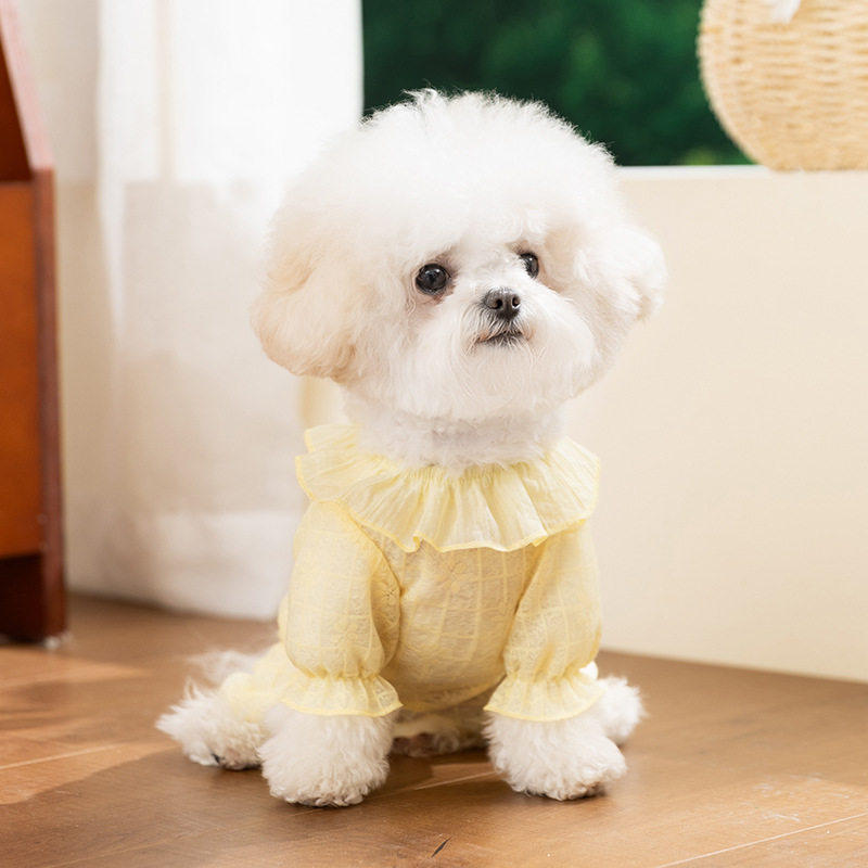 2026春夏薄款狗狗衣服四脚衣中小型犬泰迪比熊雪纳瑞透气宠物服饰
