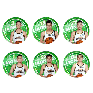 【官方正版】辽宁飞豹男篮丨辽篮本钢球员马口铁徽章继伟金金