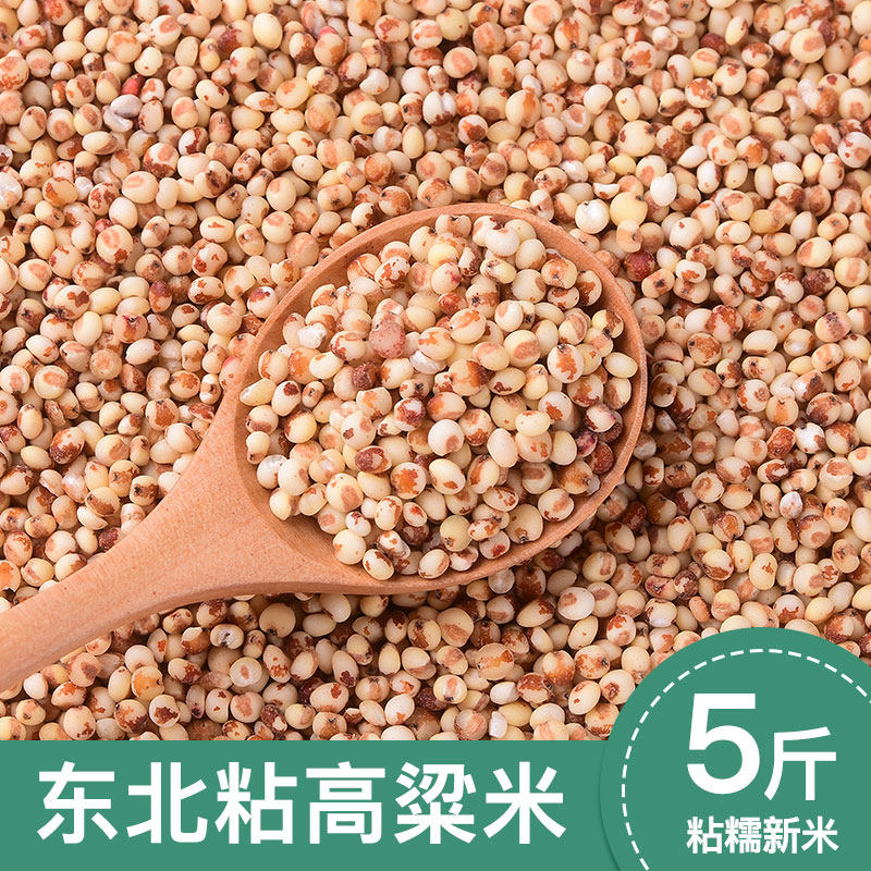 东北粘高粱米农家红糯高粱米5斤