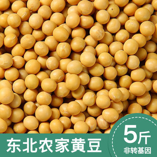 25年新黄豆非转基因东北农家自种老品种大豆发豆芽打豆浆专用豆子