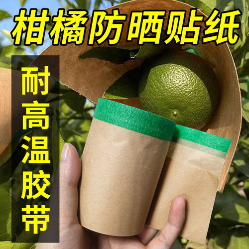 柑橘牛皮纸防晒贴纸太阳果贴纸