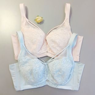 香蜜闺秀薄款 C杯2012003记忆钢圈调整文胸大胸显小四排扣塑适内衣