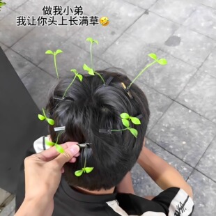 豆芽发夹立体幸运草小草发卡头上长草仿真植物发饰幼儿园活动饰品