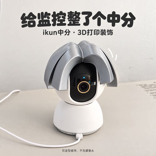 ikun鸡哥3D打印整蛊监控装饰