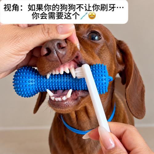 狗狗耐咬橡胶磨牙棒洁齿自嗨棒
