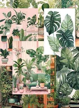 10张清新绿植卡片卧室装饰布置ins房间布置改造房间装饰品###