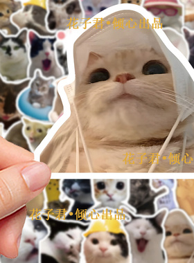106张搞怪小猫表情贴纸可爱趣味热图装饰手账手机壳贴画防水