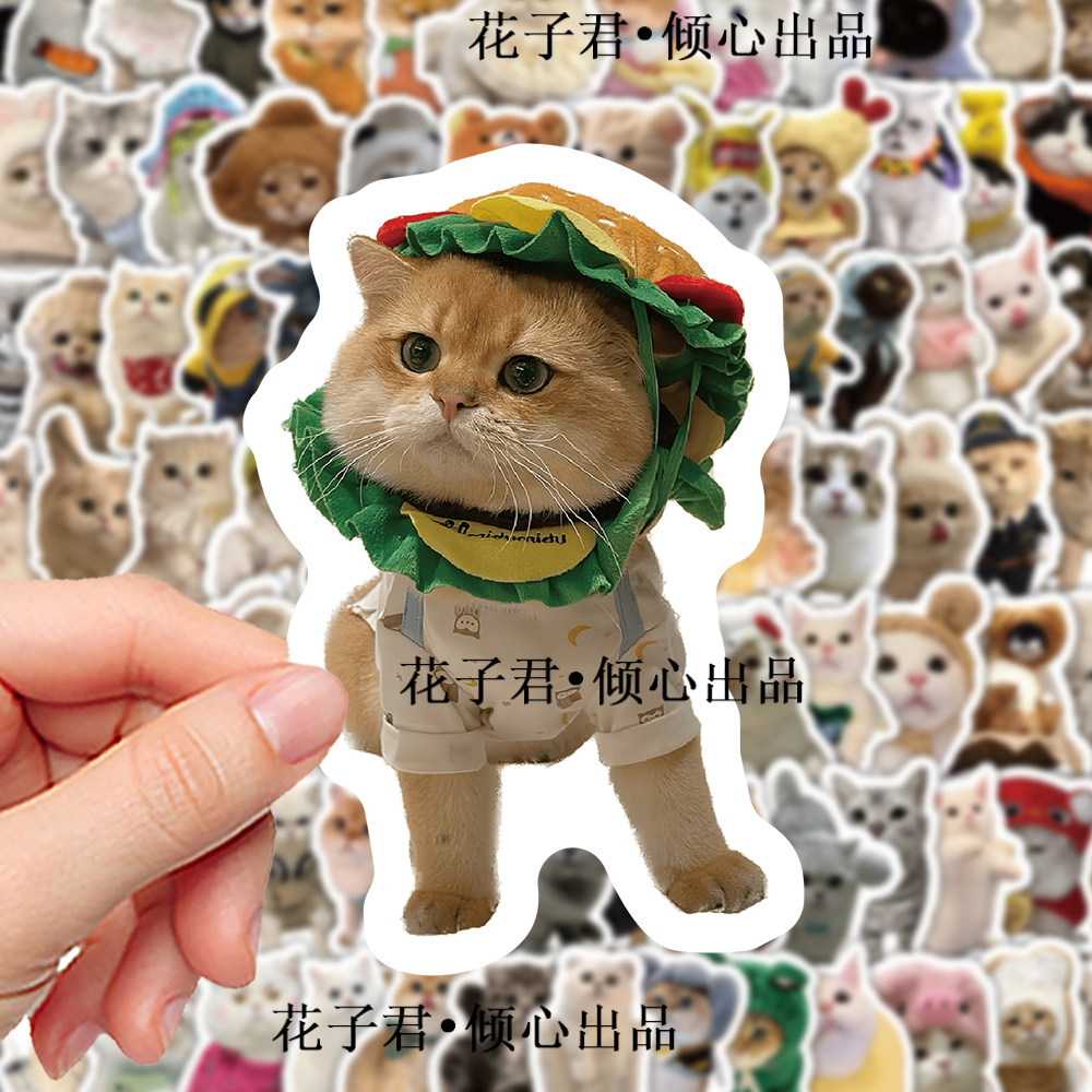206张萌宠小猫咪贴纸ins风少女心超萌可爱装饰手机壳ipad防水贴纸