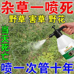 除草剂除草神器杂草灭烂根剂墙缝农田开春杀草专用药