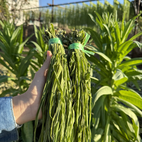 5/10斤装新鲜贡菜干优选新鲜苔干苔菜脱水蔬菜火锅食材商用