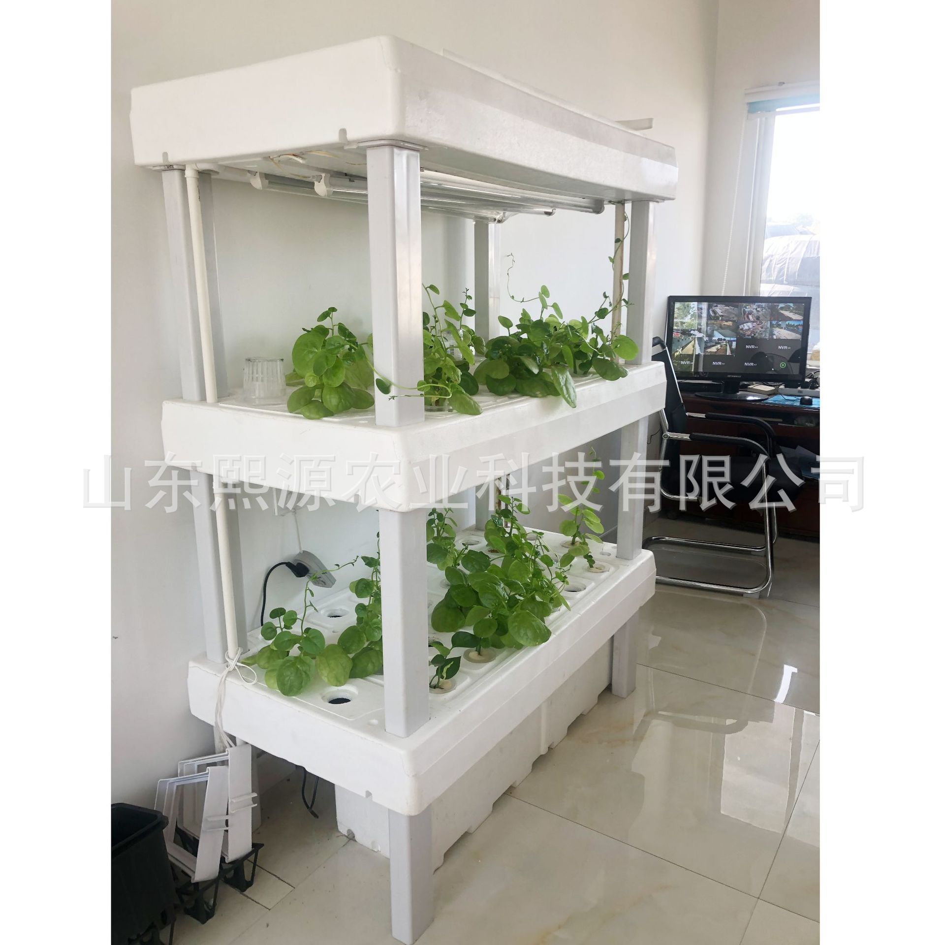无土栽培植物工厂补光灯种植 水培蔬菜 立体种植机 水种植蔬菜