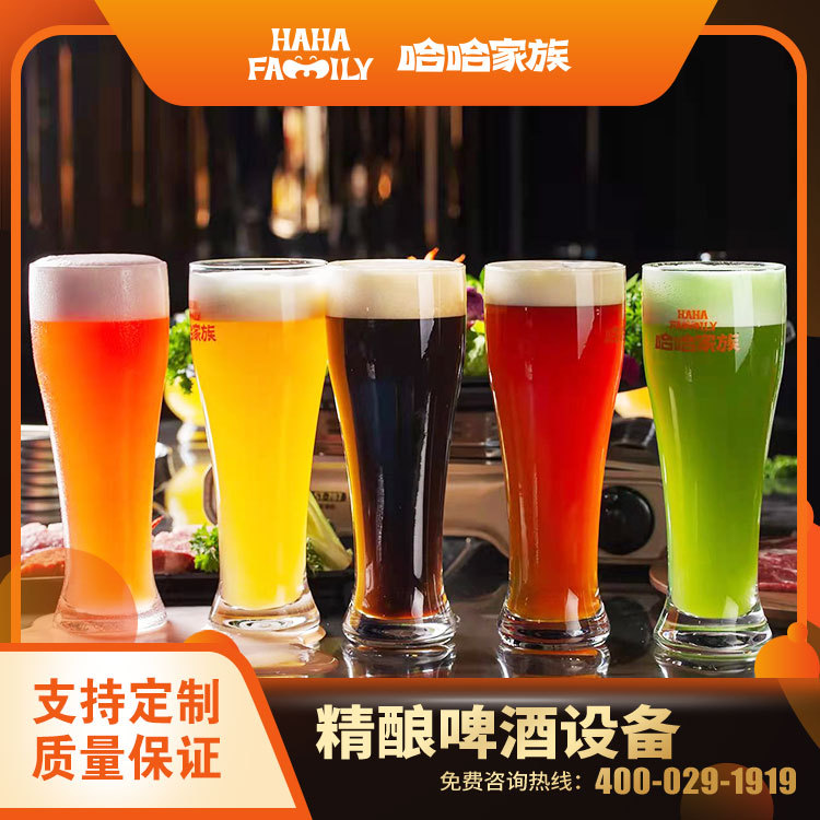 精酿啤酒灌装流水线 鲜啤制作设备 精酿啤酒制作设备啤酒酿造机器