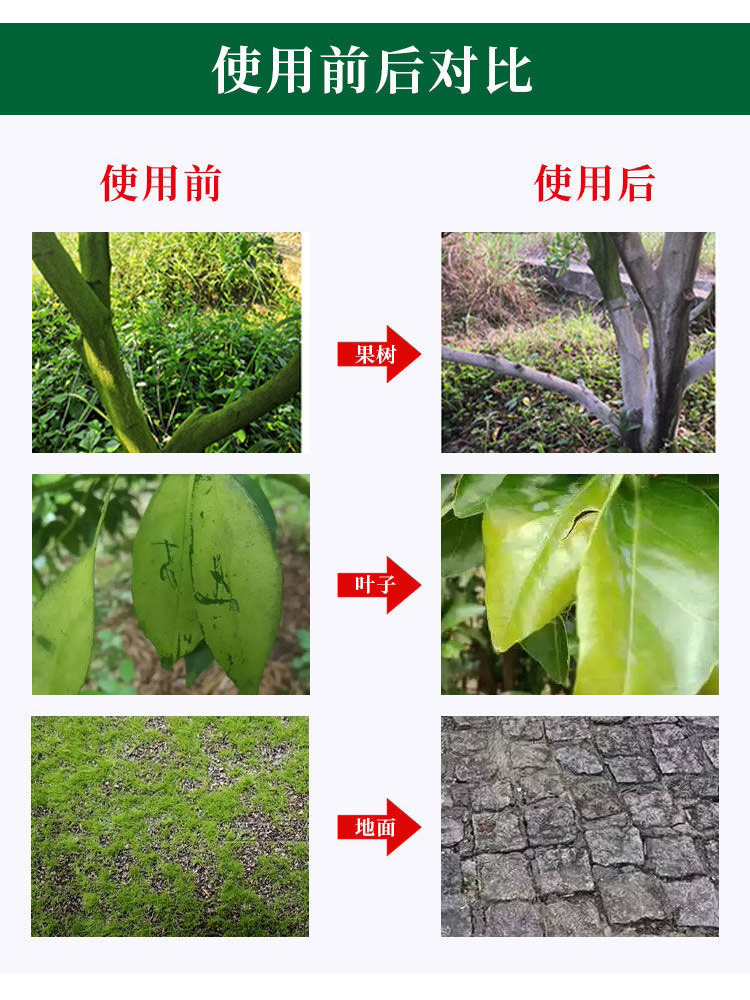 青苔助剂果树青苔清除剂柑橘树杀青苔专用农用果树清园青苔净