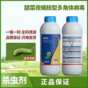 甜菜夜蛾核型多角体病毒玉米螟瓜绢螟蔬菜小菜蛾钻心虫杀虫剂