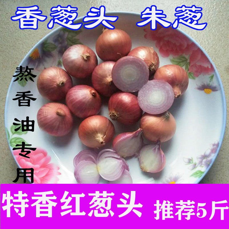 红皮朱葱油葱单粒圆葱香葱头毛葱头熬香油卤肉肠粉酒店专用