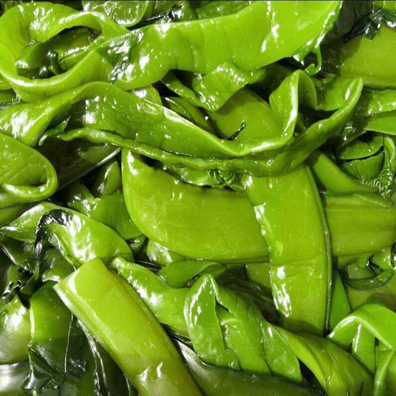 海白菜新鲜3/5斤裙带菜海裙菜海菠菜凉拌海芥菜海桔梗盐渍裙带梗