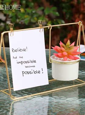 北欧轻奢风创意相框仿真多肉盆栽摆件房间客厅酒柜办公桌面装饰品