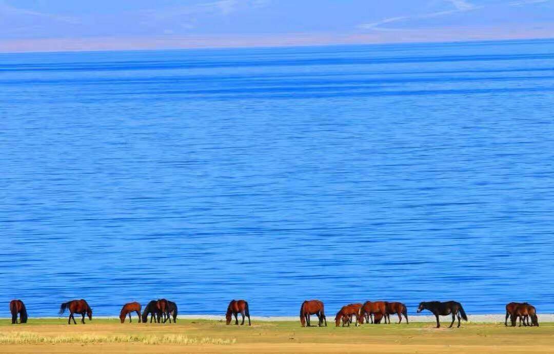 一元钱壁纸0.01元公自动发货商品一分钱单壁纸图片益素材5