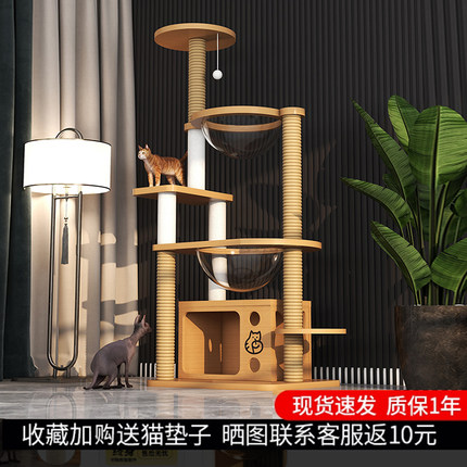 猫爬架猫窝太空舱猫树一体猫抓板抓柱多猫实木不占地小型逗猫架子