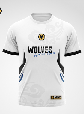 狼队电竞2025 ALGS札幌冠军赛限定官方选手队服APEX昂恩电竞