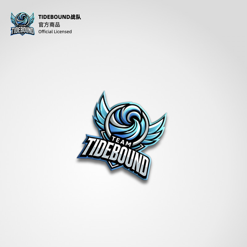 Team Tidebound官方配饰TB战队队徽饰品胸针NTS同款现货昂恩电竞