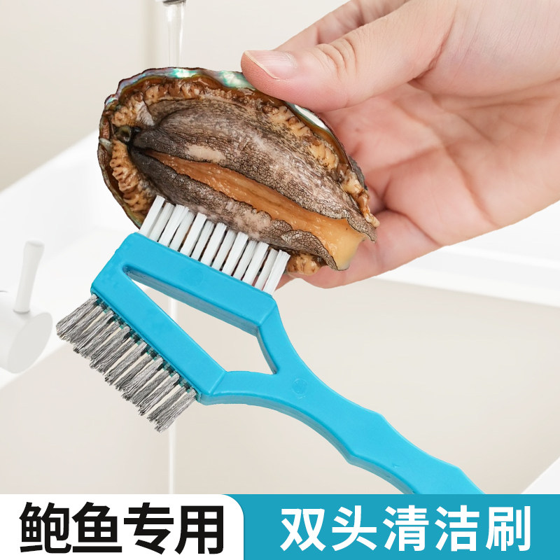鲍鱼专用清洁刷洗海鲜龙虾贝壳牡蛎花蛤清洗软毛硬毛多功能双头刷