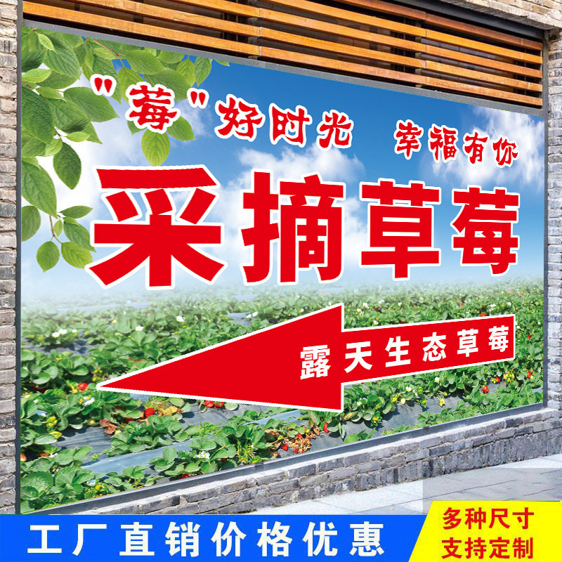 草莓园区文明采摘提示牌定制草莓采摘广告牌宣传海报广告挂布贴纸