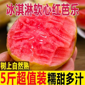 红心芭乐软糯5斤新鲜水果石榴 当季奶油番石榴软糯大果广州胭脂红
