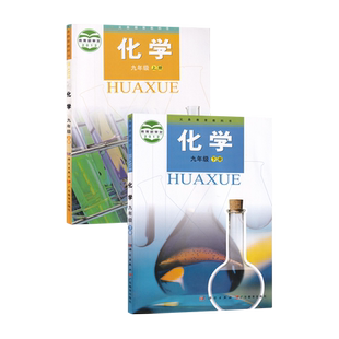 【新华书店正版】初中9九年级上下册化学科粤版粤教版初三3上下册九年级化学书上下册课本教材教科书9九上下化学九年级下