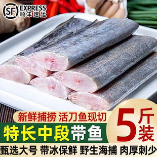 带鱼段新鲜冷冻特大段中段刀鱼段带鱼去头去尾速冻水产海鲜批发