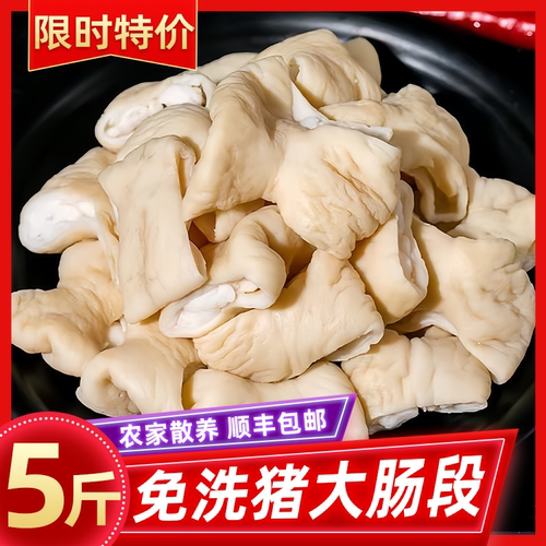 干净免处理猪大肠段新鲜猪大肠段
