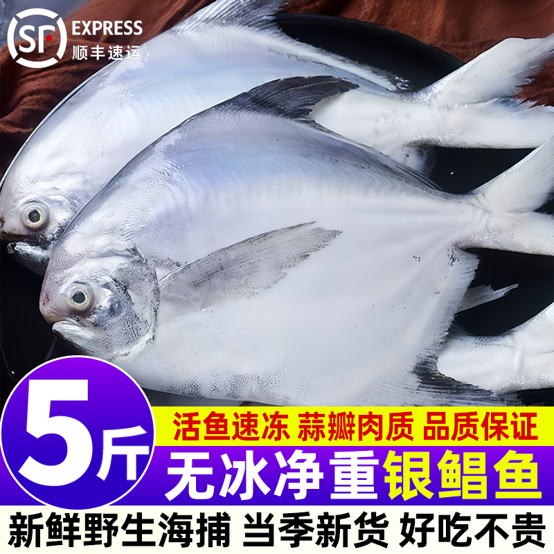 新鲜银鲳鱼特大野生海捕活鱼速冻无冰净重特大鲳鱼冷冻海鲜水产,水产肉类/新鲜蔬果/熟食,鲳鱼,淘宝优惠券,粉丝福利购,淘宝优惠卷