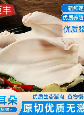 猪耳朵生鲜冷冻去毛干净