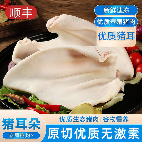 猪耳朵生鲜冷冻去毛干净